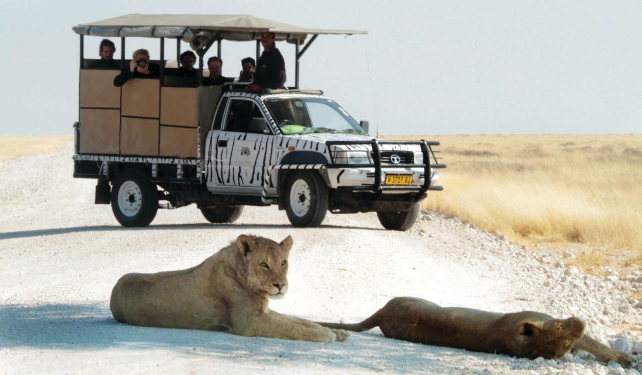 Gondwana Etosha Safari Lodge Okaukuejo Eksteriør billede